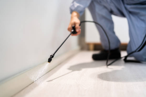 Bed Bug Pre-Treatment Preparation Assessment in Centre