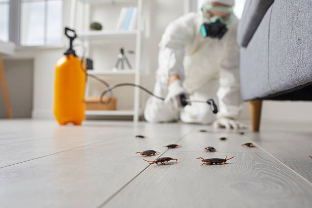 Post-Treatment Bed Bug Interceptor Monitoring in Centre