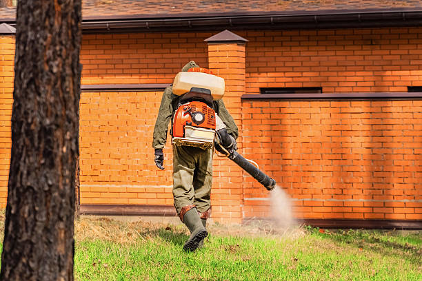 Bed Bug Clearance Verification and Documentation in Centre